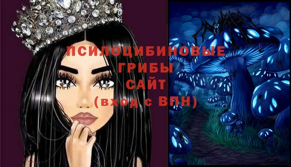 стафф Волосово