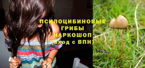 стафф Волосово