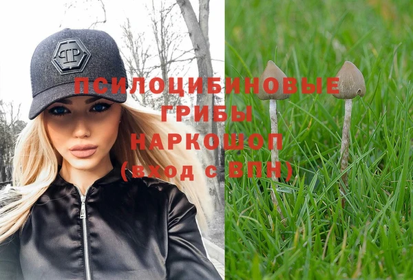 хмурый Волоколамск