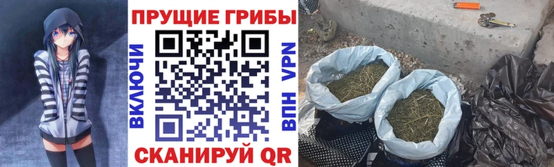 Купить где  Новоржев  Галлюциногенные грибы мухоморы 