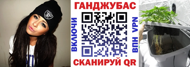 Купить закладки  Новоржев  Марихуана Ganja 